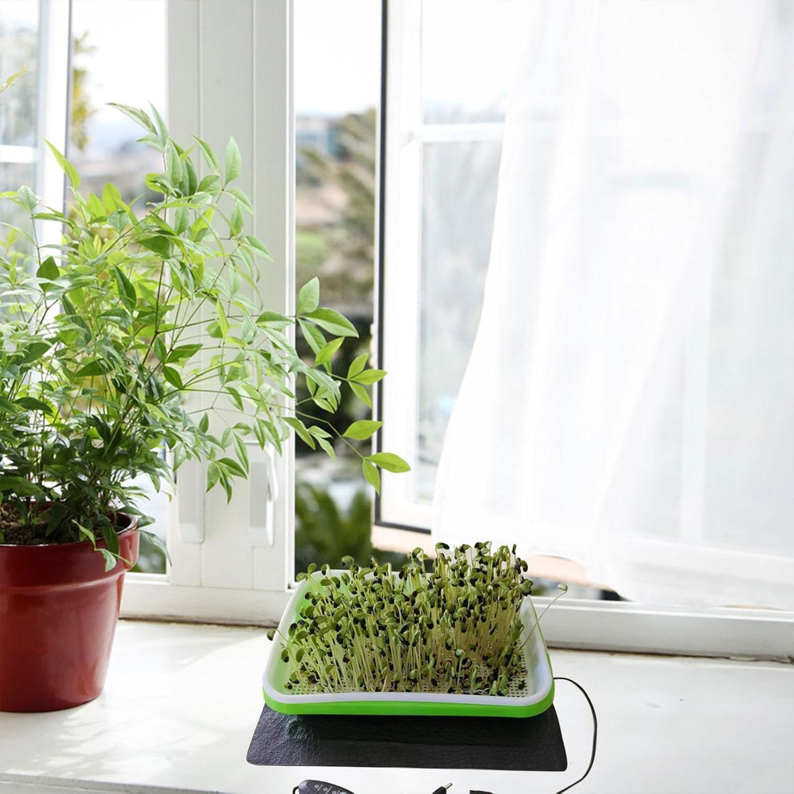 Tapete Térmico Hidropônico par - Seedling Heat Mat avaliação e preço
