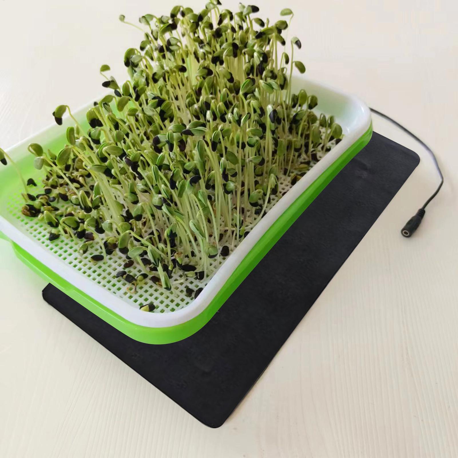 Tapete Térmico para Sementes 5 - Seedling Heat Mat avaliação e preço